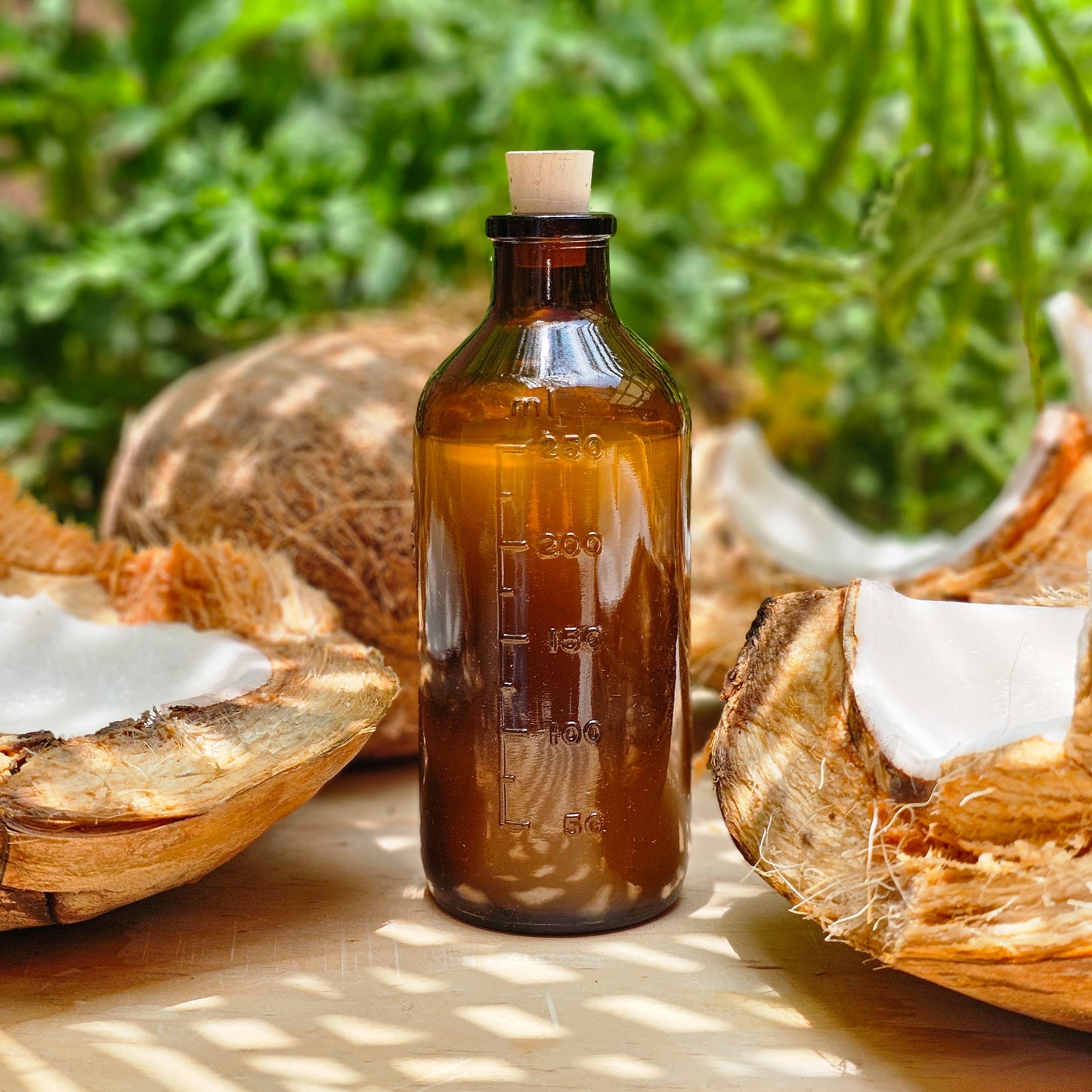 El Shampoo de Coco