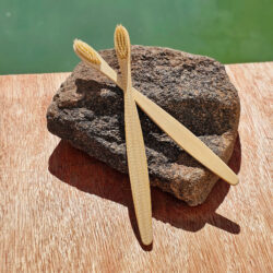 El Cepillo de Dientes