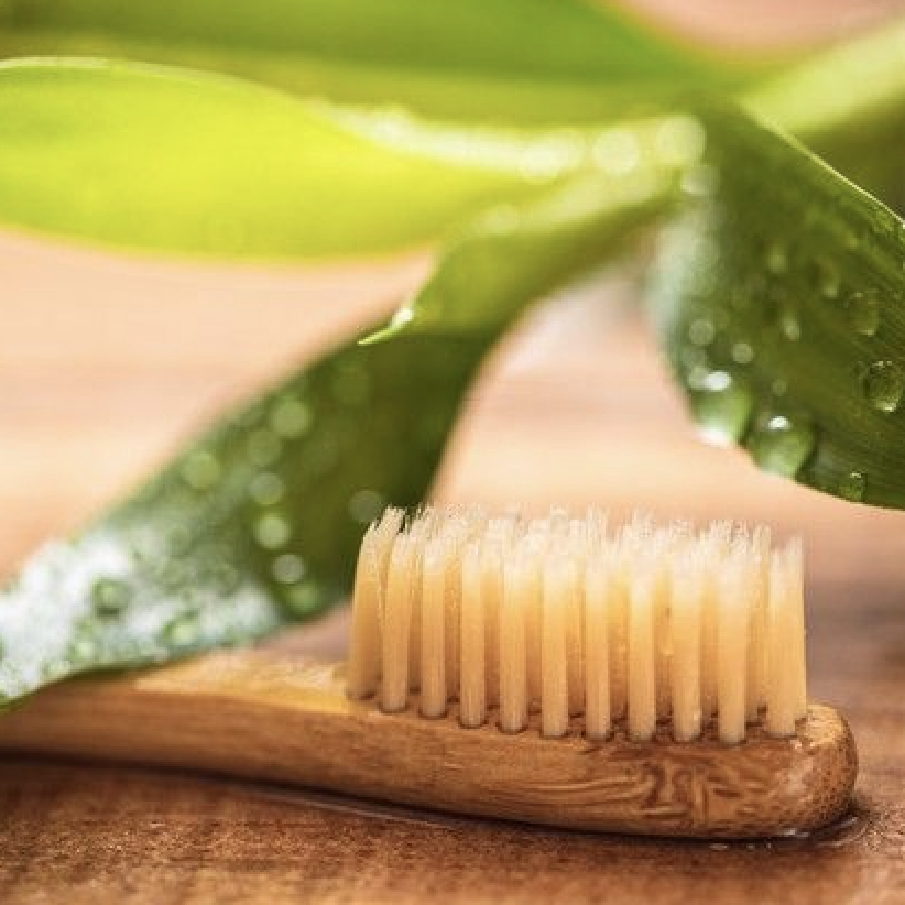 El Cepillo de Dientes - Imagen 2