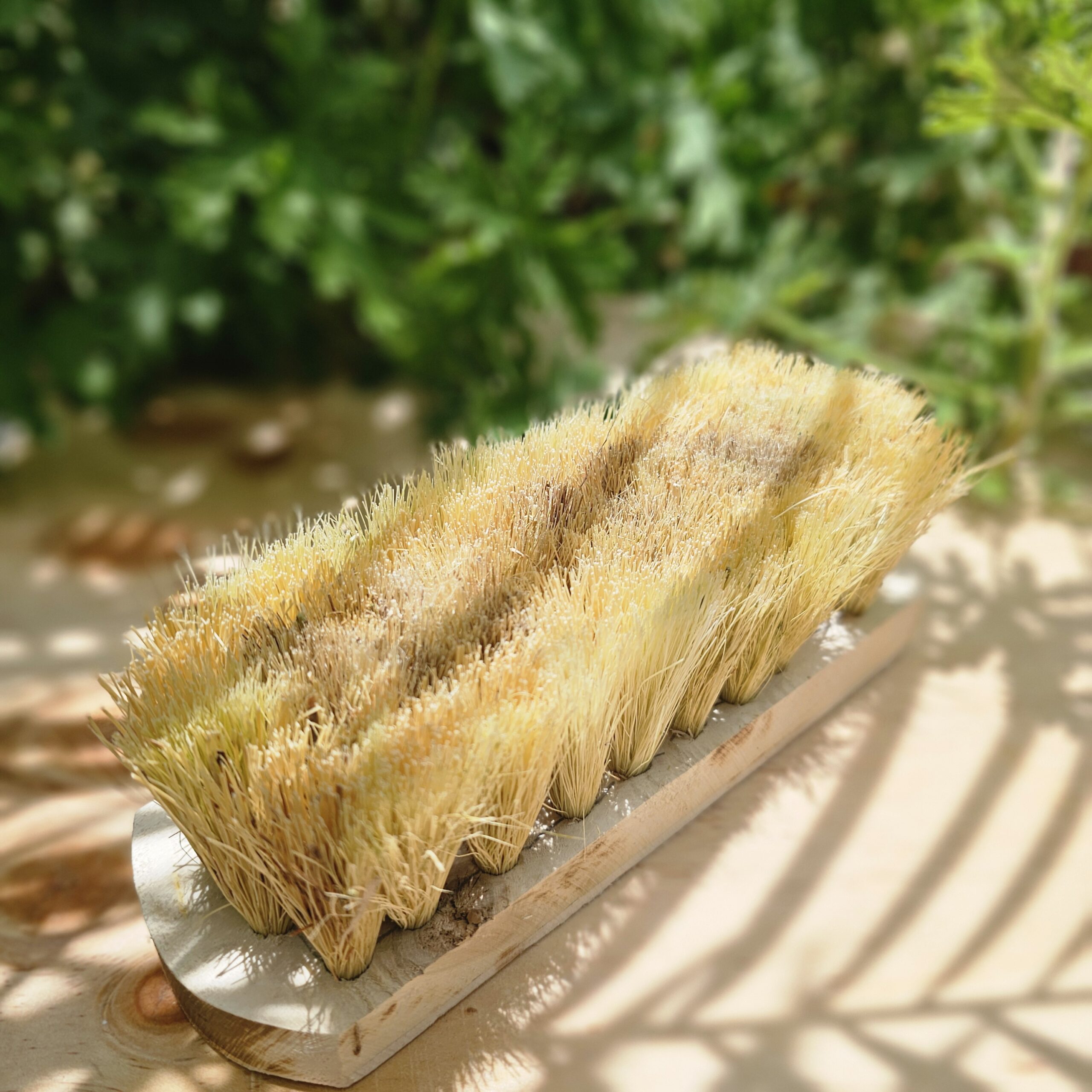 El Cepillo Multiusos Grande