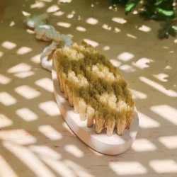 El Cepillo para Ropa