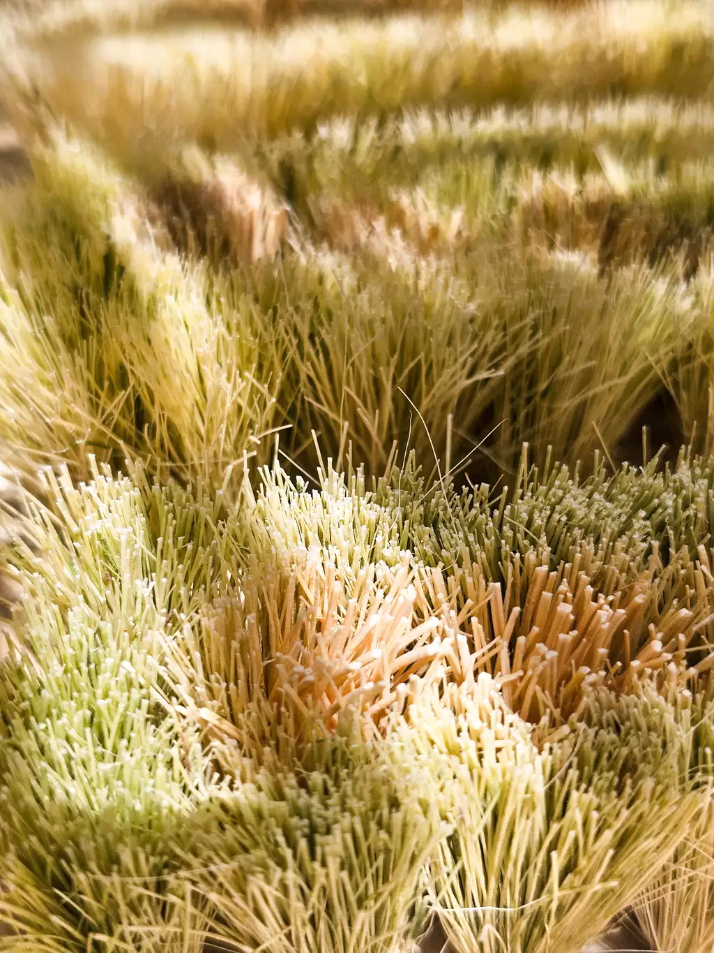 El Cepillo Multiusos Chico - Imagen 2