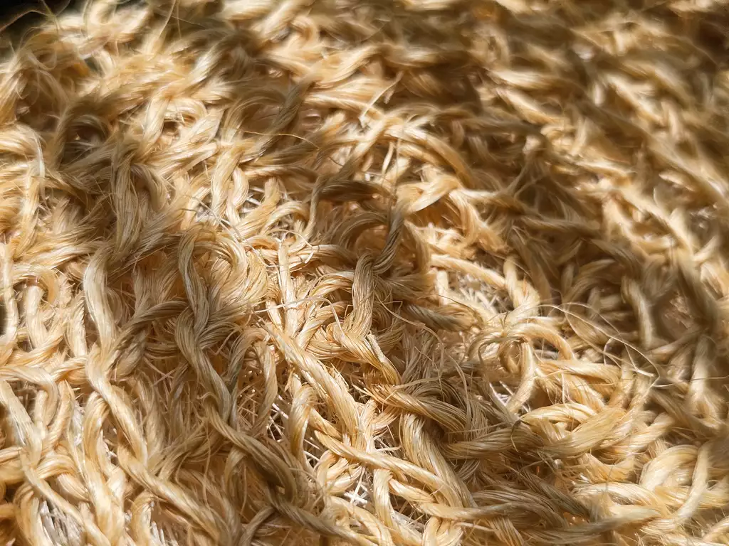 El Zacate Corporal - Imagen 2